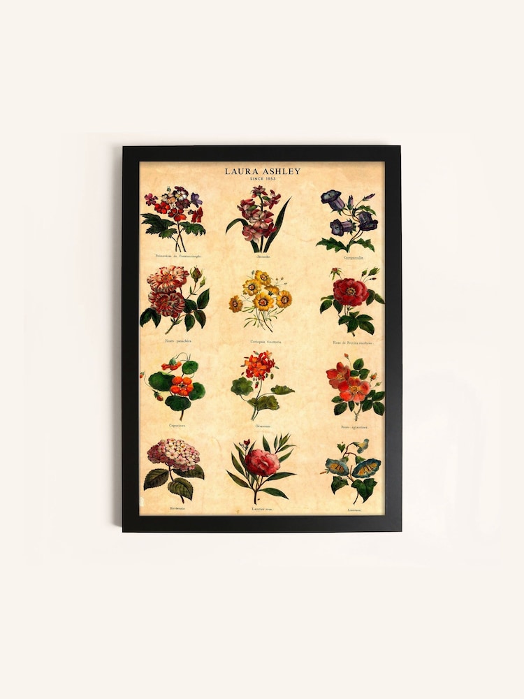 Laura Ashley Multi Botanical Flowers Black Medium Frame - Image 2 of 4