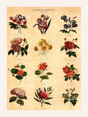 Laura Ashley Multi Botanical Flowers Black Medium Frame - Image 4 of 4