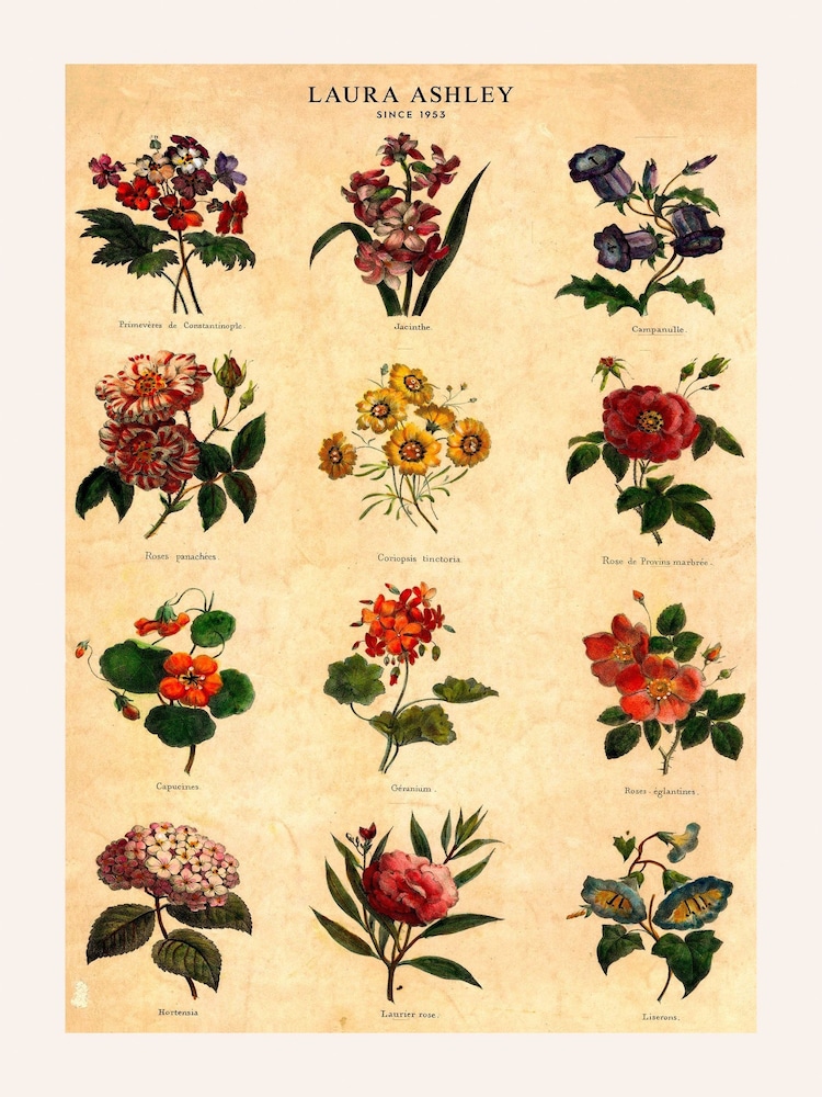 Laura Ashley Multi Botanical Flowers Black Medium Frame - Image 4 of 4