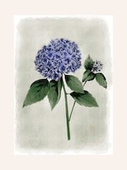 Laura Ashley Blue Hydrangea Flower Medium Wall Art Frame - Image 4 of 4