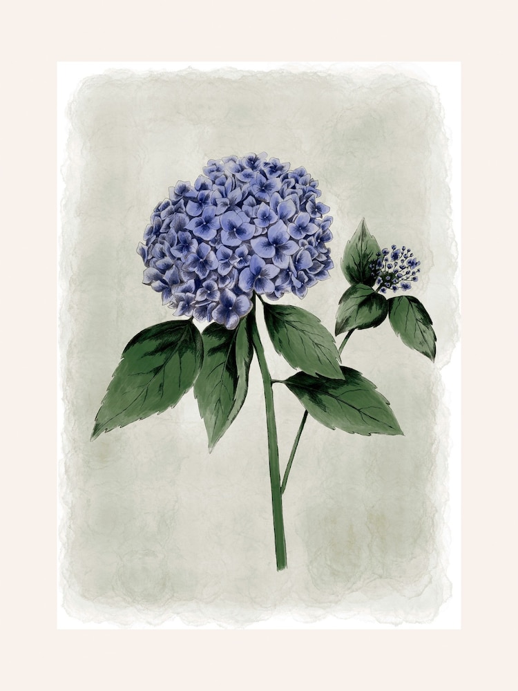Laura Ashley Blue Hydrangea Flower Medium Wall Art Frame - Image 4 of 4