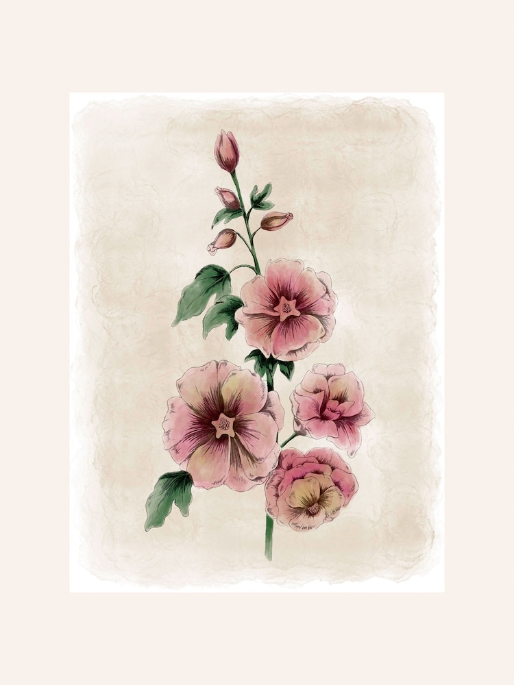 Laura Ashley Red Hollyhocks Flower Small Wall Art Frame - Image 4 of 4 Laura Ashley Red Hollyhocks Flower Small Wall Art Frame - Image 4 of 4