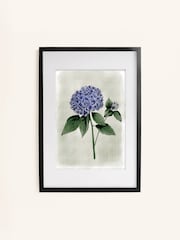 Laura Ashley Blue Hydrangea Flower Black Large Frame - Image 2 of 4