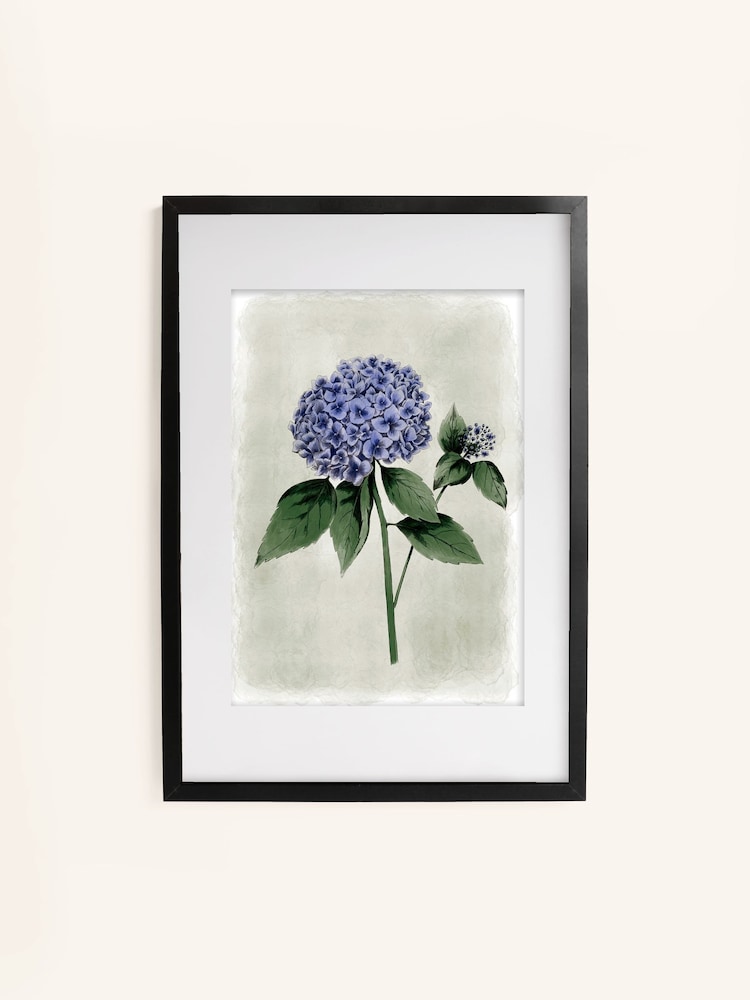 Laura Ashley Blue Hydrangea Flower Black Large Frame - Image 2 of 4