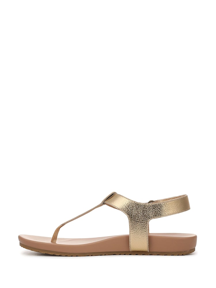 Vionic Gold Palisades Regular Fit Arch Support Toe Post Sandal - Image 7 of 7 Vionic Gold Palisades Regular Fit Arch Support Toe Post Sandal - Image 7 of 7