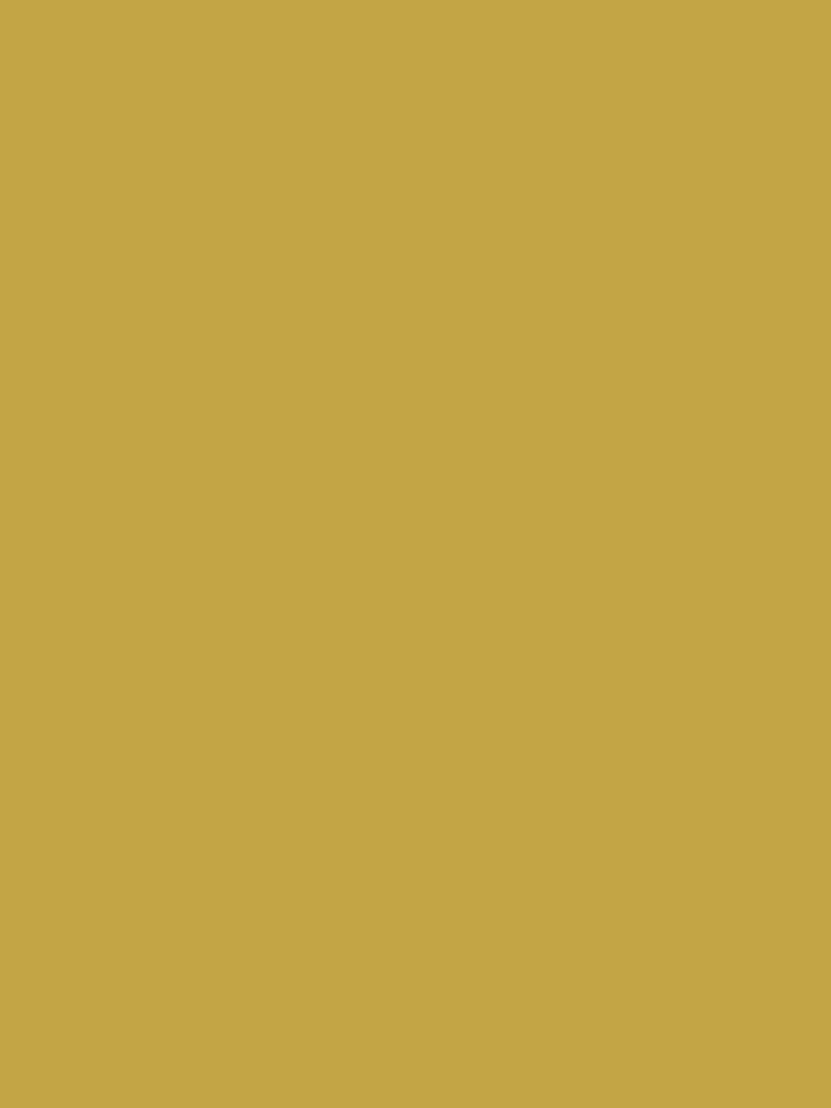 Graham & Brown Acacia Peel & Stick Paint Sample - Image 2 of 6