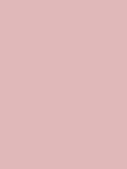 Graham & Brown Aliza Peel & Stick Paint Sample - Image 2 of 6