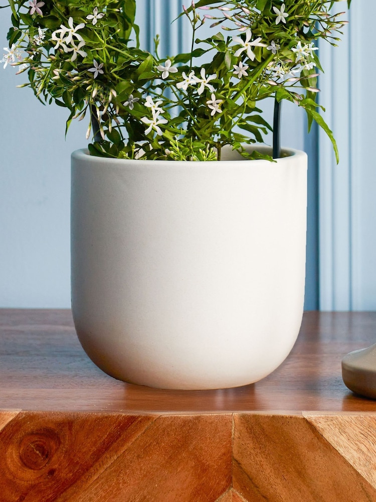 Beards & Daisies Oyster Jasmine On Hoop & Earthenware Plant Pot - Image 3 of 3 Beards & Daisies Oyster Jasmine On Hoop & Earthenware Plant Pot - Image 3 of 3
