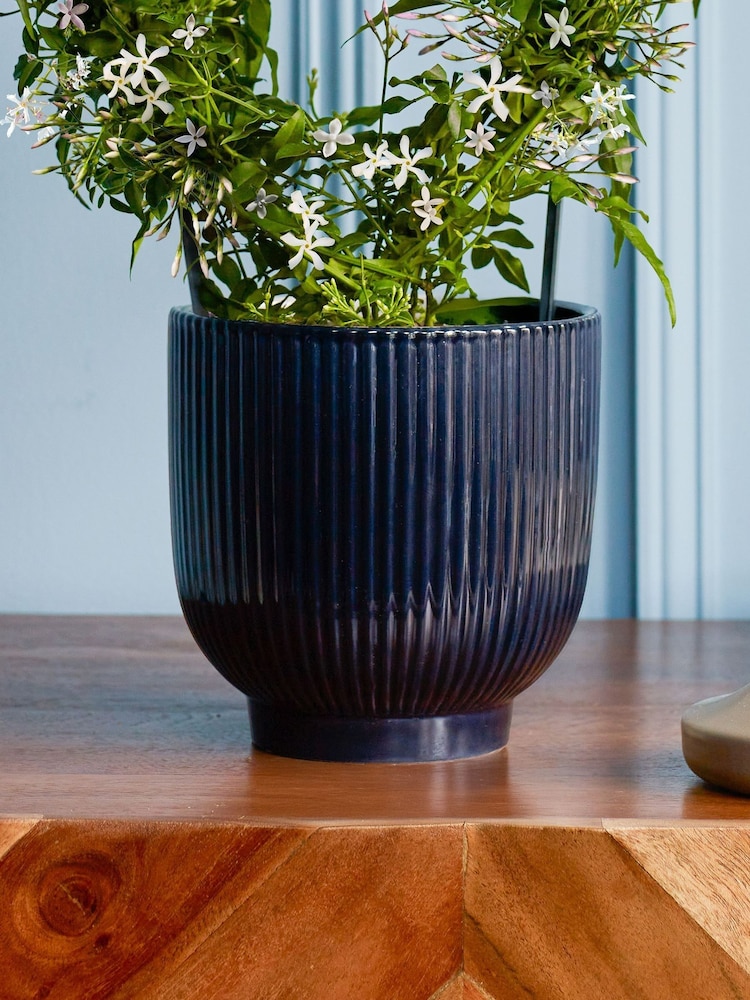 Beards & Daisies Navy Jasmine On Hoop & Ribbed Plant Pot - Image 3 of 3 Beards & Daisies Navy Jasmine On Hoop & Ribbed Plant Pot - Image 3 of 3