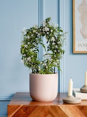 Beards & Daisies Pink Jasmine On Hoop & Earthenware Plant Pot - Image 1 of 3