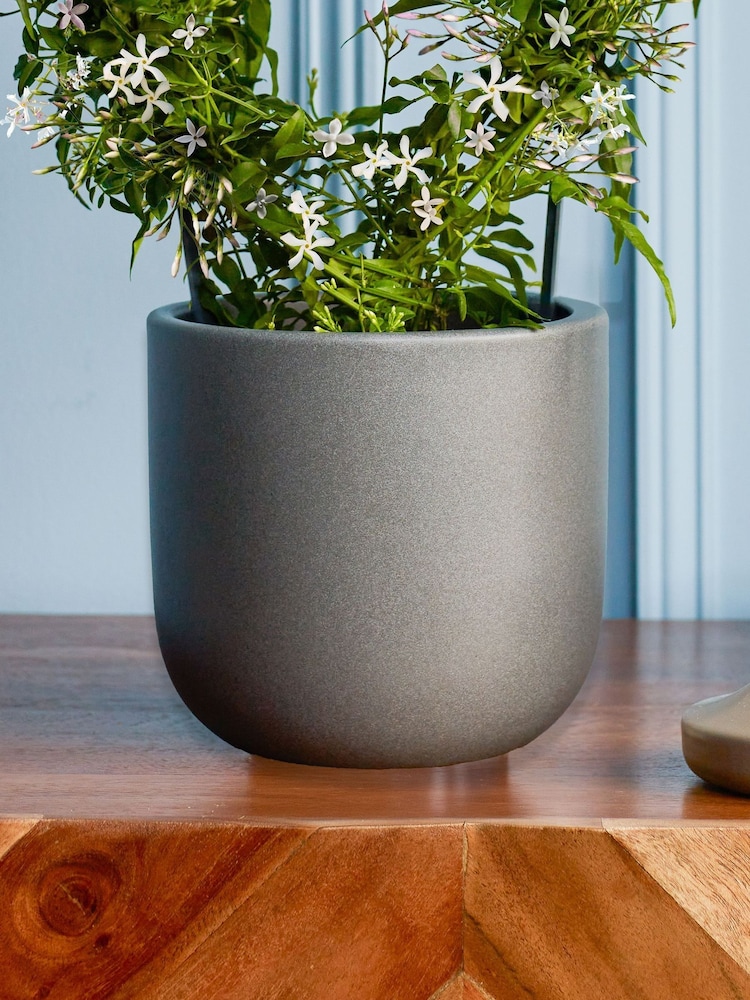 Beards & Daisies Graphite Jasmine On Hoop & Earthenware Plant Pot - Image 3 of 3 Beards & Daisies Graphite Jasmine On Hoop & Earthenware Plant Pot - Image 3 of 3