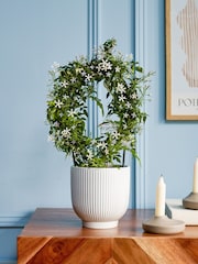 Beards & Daisies White Jasmine On Hoop & Ribbed Plant Pot - Image 1 of 3