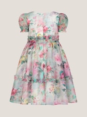 Monsoon Cream Floral Print Ruffle Tiered Dress - Image 3 of 4