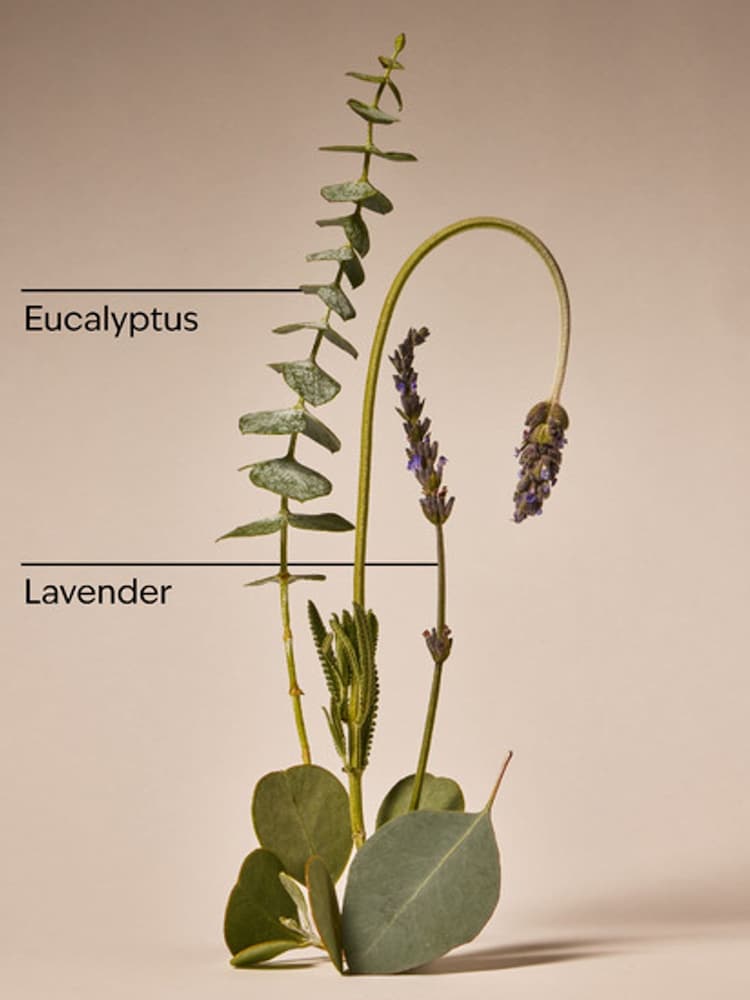 Bath & Body Works Eucalyptus Lavender Single Wick Candle 227g - Image 2 of 2