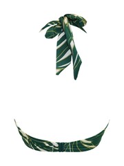 Pour Moi Ivory/Green Tropical Padded Samoa Bikini Top - Image 5 of 5