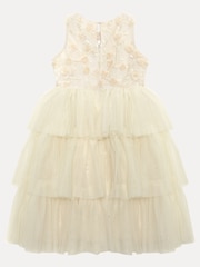 Phase Eight Florentina Dress - Imaginea 2 din 2