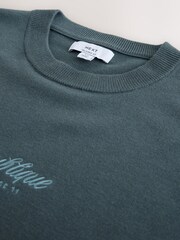 Sage Green Graphic Relaxed Fit N. Premium Ultrasoft Smart Knitted T-Shirt - Image 3 of 3