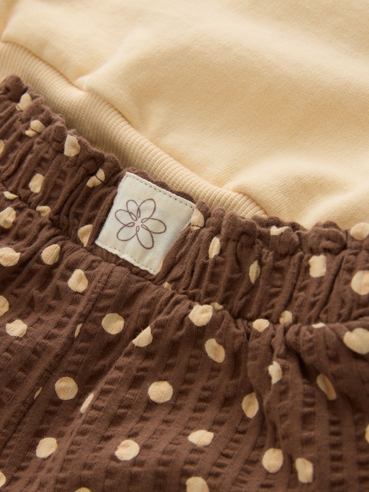 Chocolate Brown Bear Crew Neck Sweatshirt & Shorts Set (3mths-7yrs) - Image 5 of 5 Chocolate Brown Bear Crew Neck Sweatshirt & Shorts Set (3mths-7yrs) - Image 5 of 5