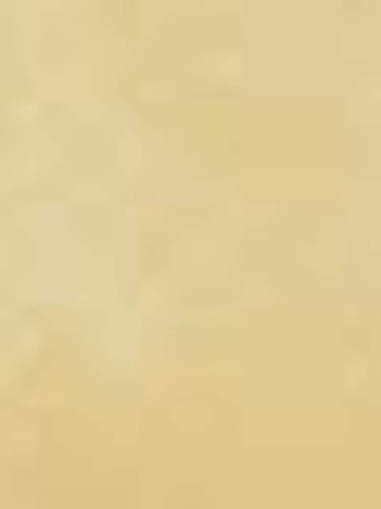 Lauren Ralph Lauren Yellow Averi Flat Loafers - Image 5 of 5