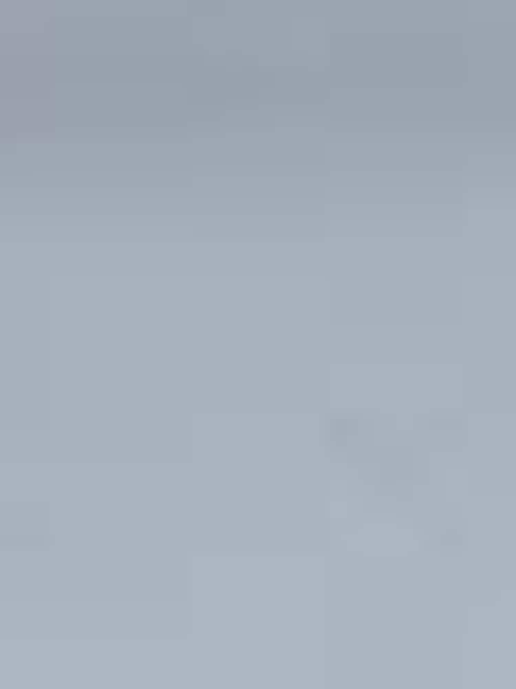 Lauren Ralph Lauren Blue Raquel Flip-Flop - Image 5 of 5