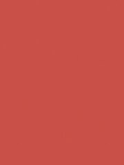 Graham & Brown King Of Paradise Resistance Ultra Durable Matt Emulsion Paint - Image 2 of 6