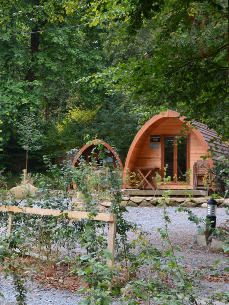 RED LETTER DAYS Dog Friendly Breaks Gift Experience - Image 2 of 4 RED LETTER DAYS Dog Friendly Breaks Gift Experience - Image 2 of 4