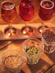 RED LETTER DAYS Brewdog Beer School for Two Gift Experience - Image 3 of 4