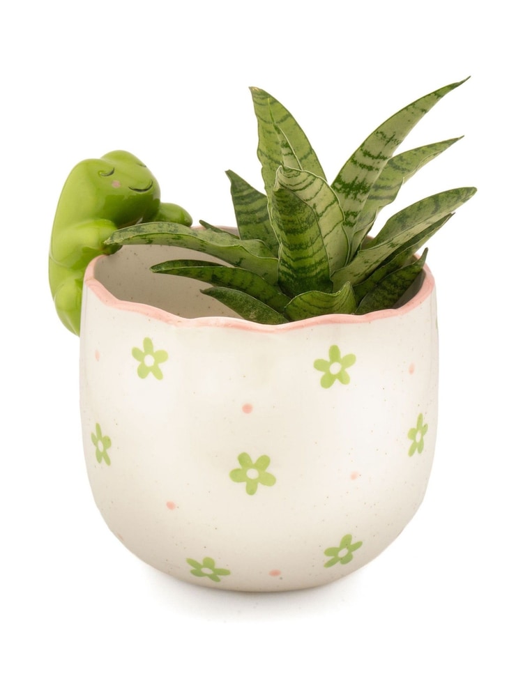 Sass & Belle Green Peeking Frog Planter - Image 2 of 6
