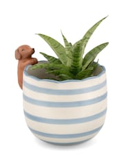 Sass & Belle Blue Peeking Sausage Dog Planter - Image 2 of 6