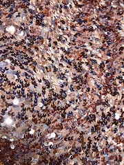 Friends Like These Champagne Gold Sequin Draped Off The Shoulder Top - Image 6 of 6