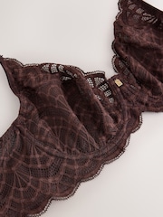 Chocolate Brown DD+ Non Padded Balcony Lace Bra - Image 11 of 11