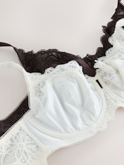 Chocolate Brown/Cream DD+ Non Padded Full Cup Modal & Lace Bras 2 Pack - Image 4 of 5