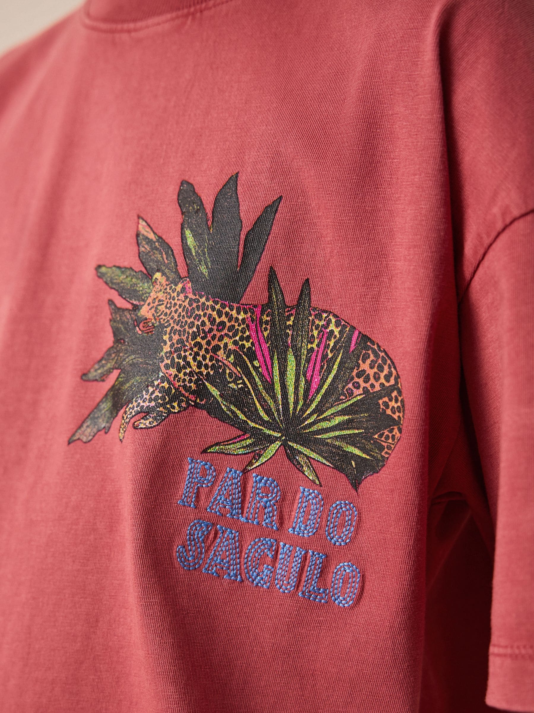 Buy Berry Red Washed Graphic T-Shirt (3-16yrs) from the Next UK
