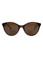 Ted Baker Brown 1790 Reader Sunglasses - Image 1 of 4