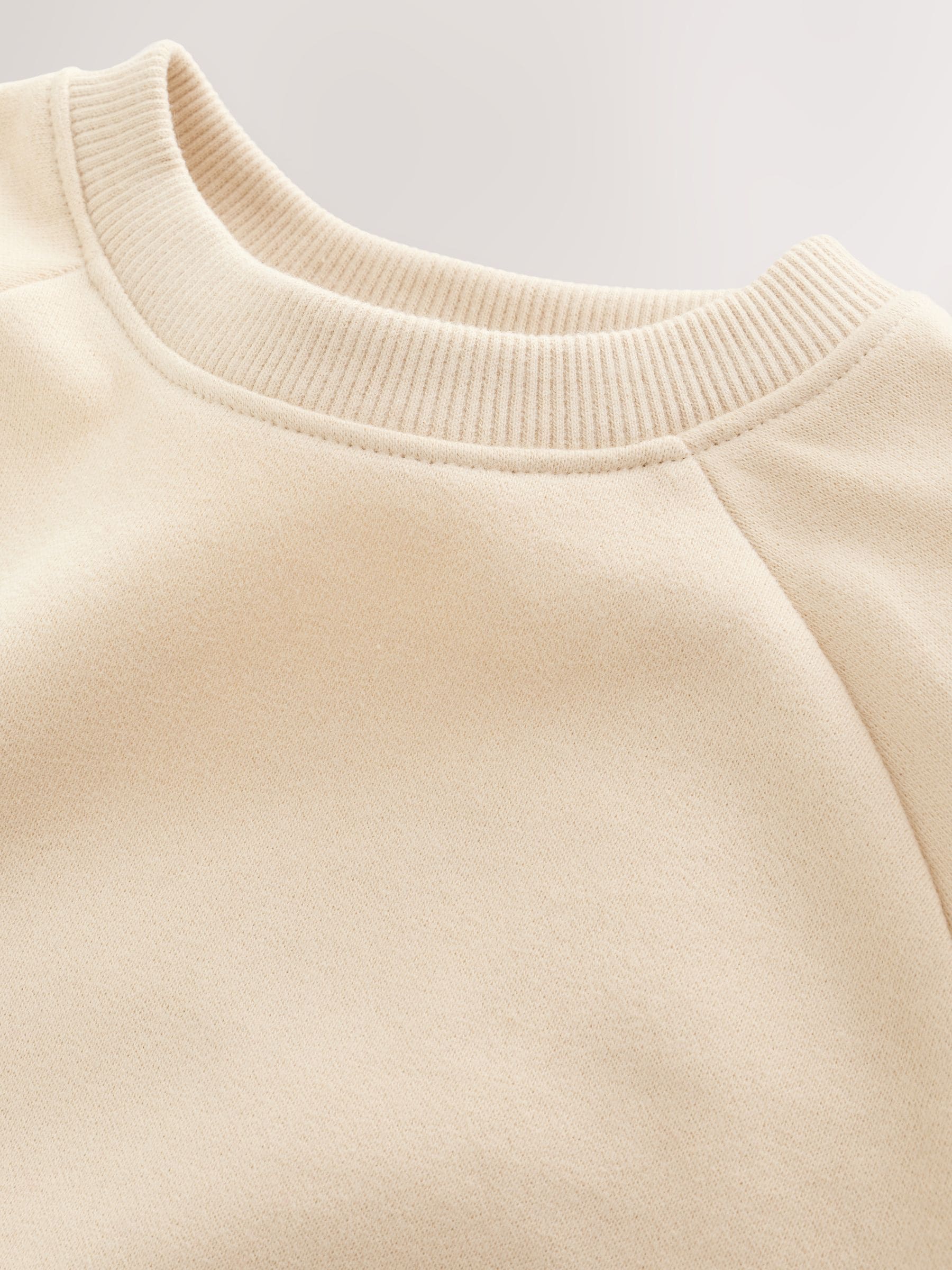 トップス STONE  CREW NECK SWEATSHIRT Buy Stone Crew Neck Sweatshirt (3mths-7yrs) from Next USA