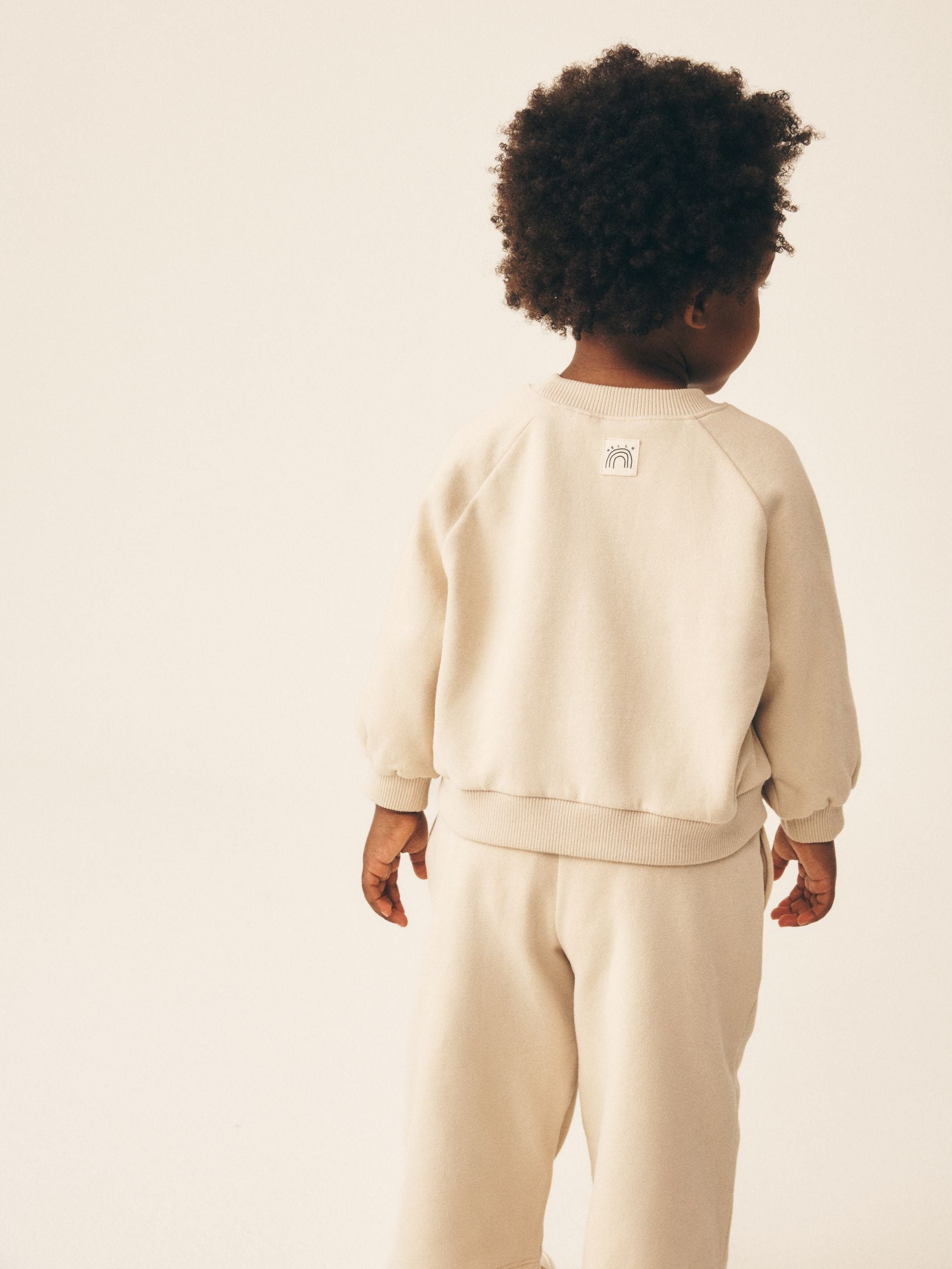 Buy Stone Crew Neck Sweatshirt (3mths-7yrs) from Next USA