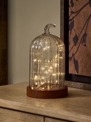 Cloche Battery Operated Feature Light - Bild 1 von 3