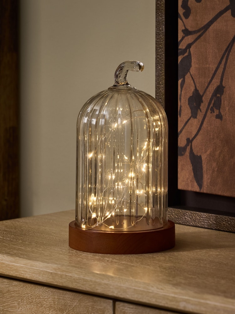 Cloche Battery Operated Feature Light - Bild 1 von 3 Cloche Battery Operated Feature Light - Bild 1 von 3