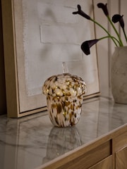 Multi Confetti Glass Acorn Battery Operated Feature Light - Image 1 of 4