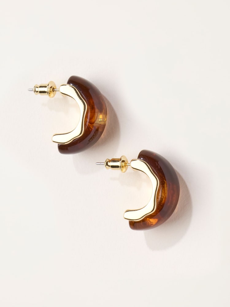 FatFace Brown Resin Hoop Earrings - Image 1 of 5