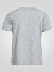 D555 Light Grey Flyers Premium Weight Combed Cotton Crew Neck T-Shirt - Image 5 of 5