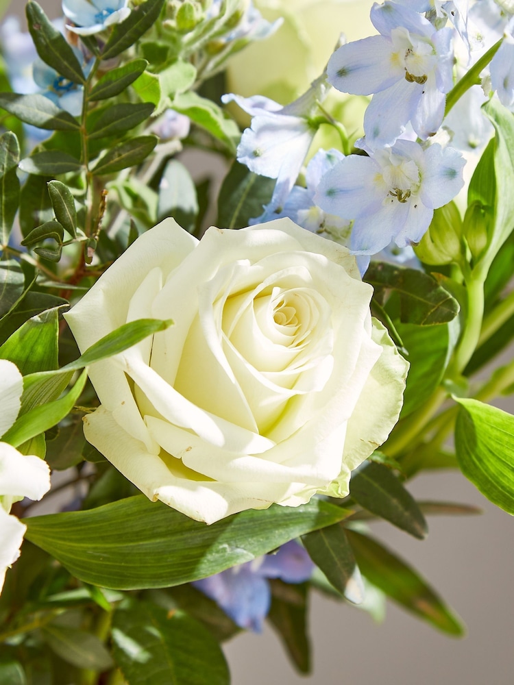 Arena Flowers Baby Blue Bouquet - Image 2 of 2
