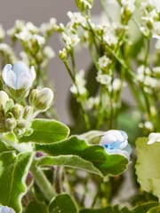 Arena Flowers Baby Blue Bouquet - Image 4 of 6