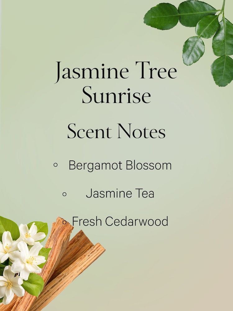 Victoria's Secret Jasmine Tea Sunrise 250ml Body Lotion - Image 2 of 2 Victoria's Secret Jasmine Tea Sunrise 250ml Body Lotion - Image 2 of 2