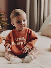 يقطين برتقالي صغير - Sweat and Legging Baby Set (0mths-2yrs) - Image 1 of 4