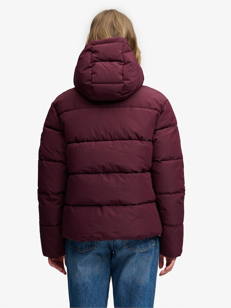Superdry Purple Premium Hood Puffer Jacket - Image 2 of 7