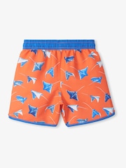 Hatley Dino party Swim Shorts - תמונה 2 מתוך 3