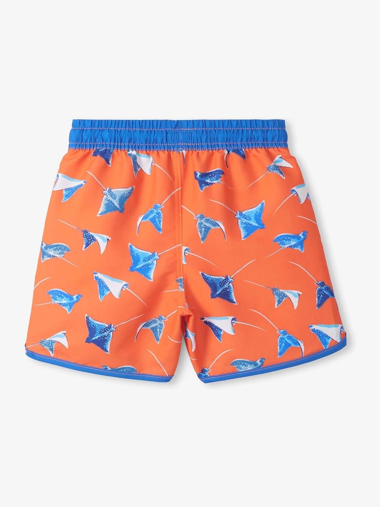 Hatley Dino party Swim Shorts - תמונה 2 מתוך 3