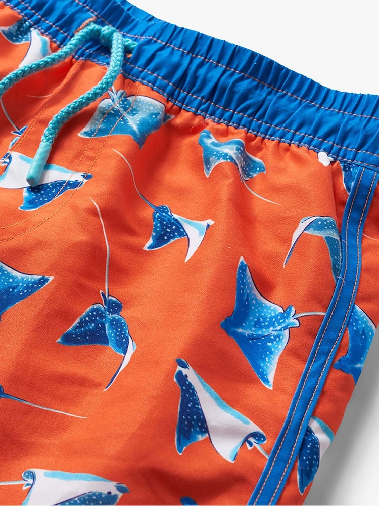 Hatley Dino party Swim Shorts - תמונה 3 מתוך 3