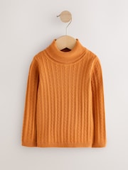 Pumpkin Roll Neck Jumper (3mths-10yrs) - Image 1 of 4